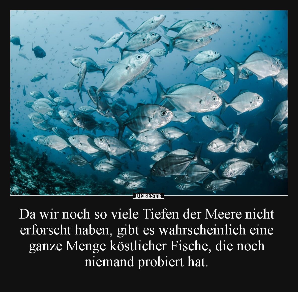 Da wir noch so viele Tiefen der Meere nicht erforscht.. - Lustige Bilder | DEBESTE.de