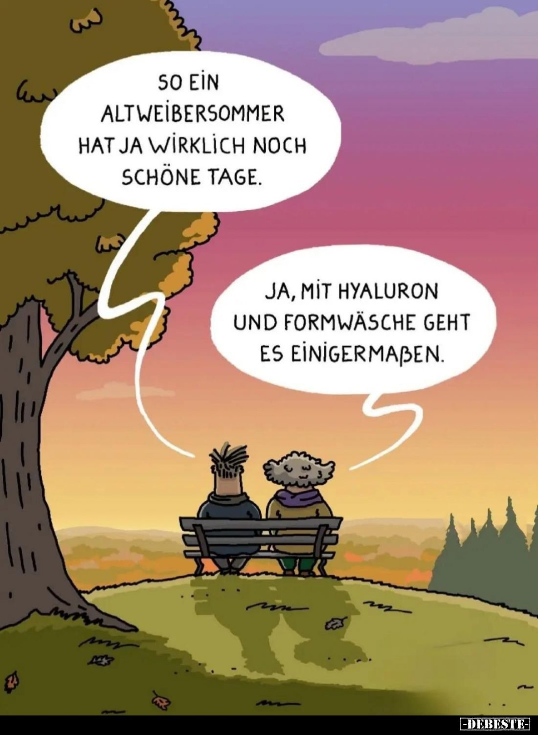 So ein Altwei̇bersommer hat ja wirklich noch schöne Tage. -
Ja, mit Hyaluron und Formwäsche geht es ei̇ni̇germassen.