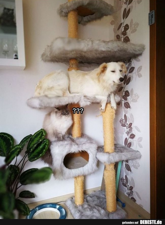 ??? - Lustige Bilder | DEBESTE.de