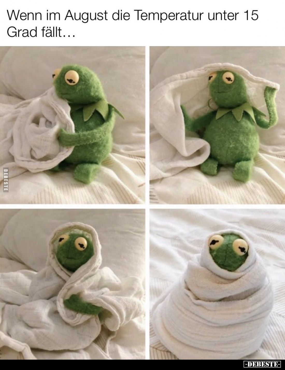Wenn im August die Temperatur unter 15 Grad fällt...