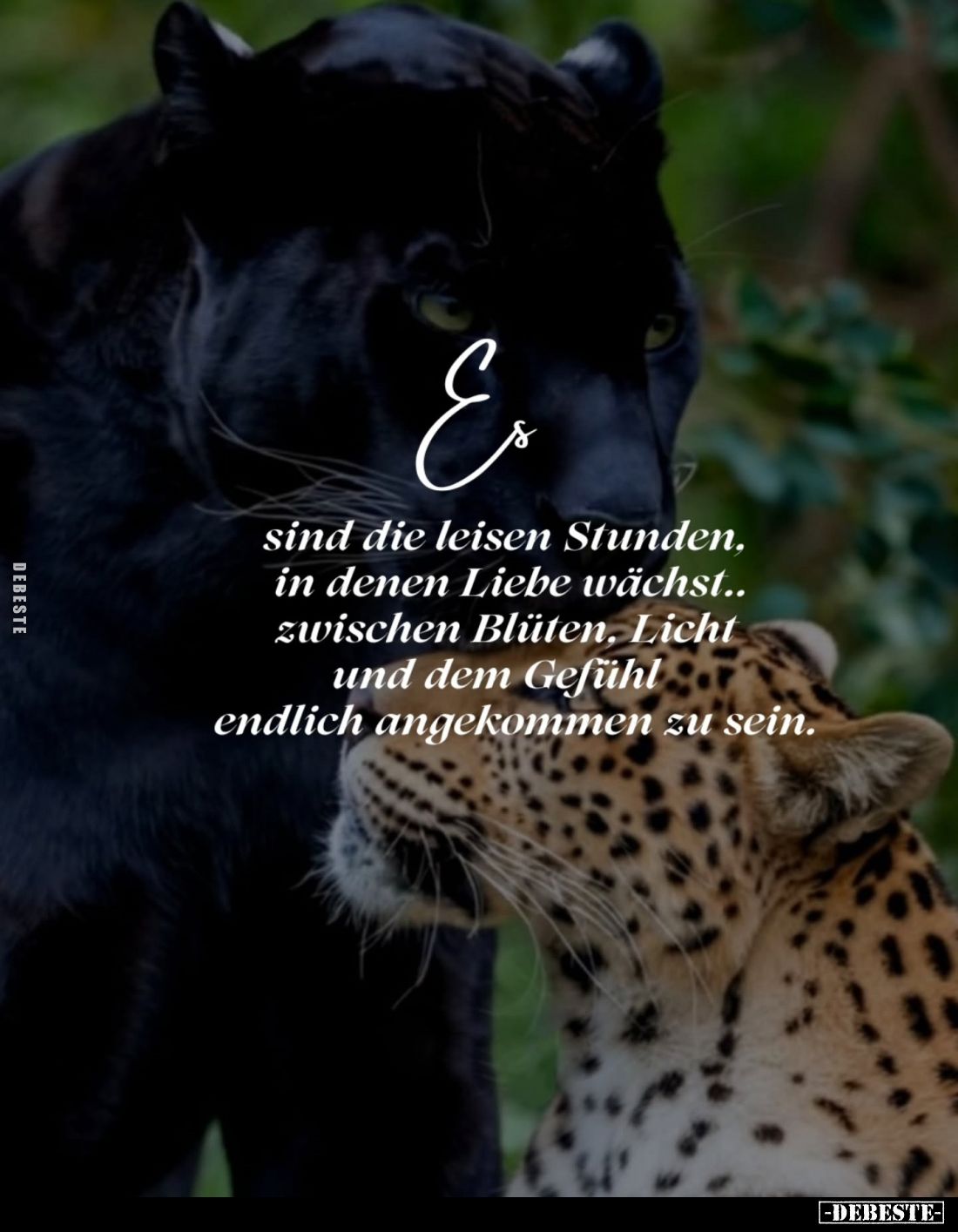 Es sind die leisen Stunden, in denen Liebe wächst.. zwischen Blüten, Licht und dem Gefühl endlich angekommen zu sein.