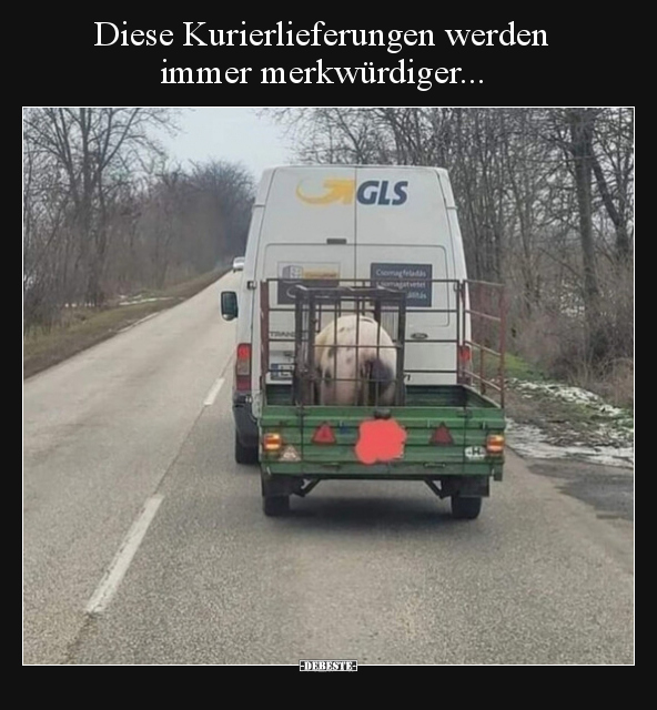 Diese Kurierlieferungen werden immer merkwürdiger...
