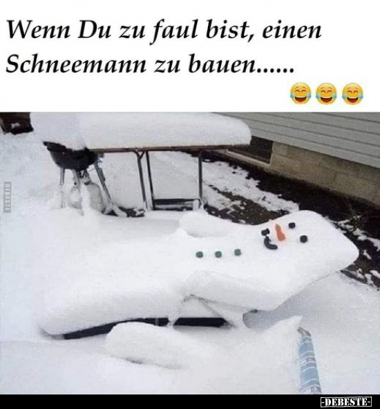 Wenn Du zu faul bist, einen Schneemann zu bauen... - Lustige Bilder | DEBESTE.de