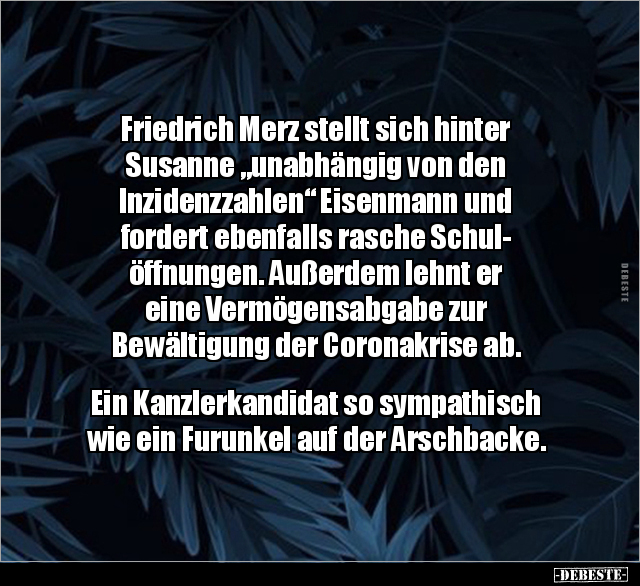 Friedrich Merz stellt sich hinter Susanne "unabhängig von.." - Lustige Bilder | DEBESTE.de