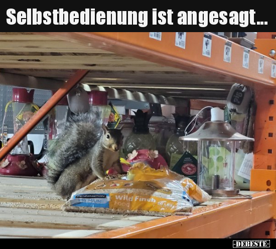 Selbstbedienung ist angesagt... - Lustige Bilder | DEBESTE.de