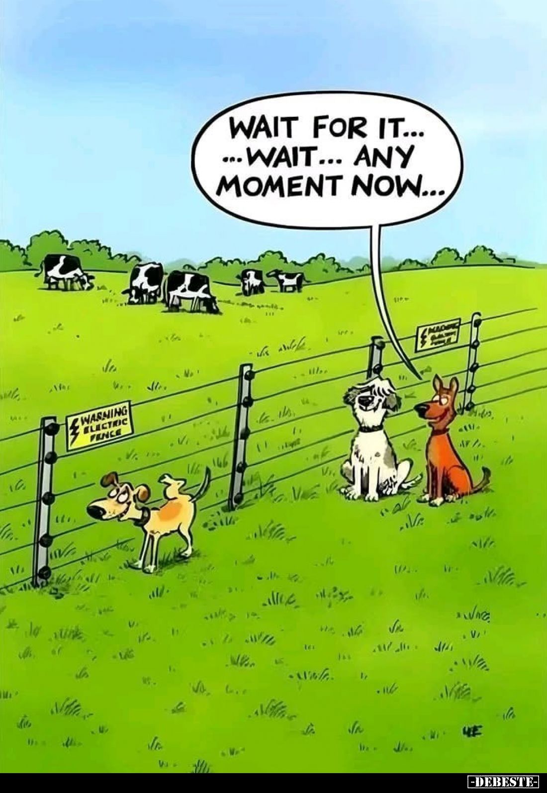 Wait for it... Wait... Any moment now...