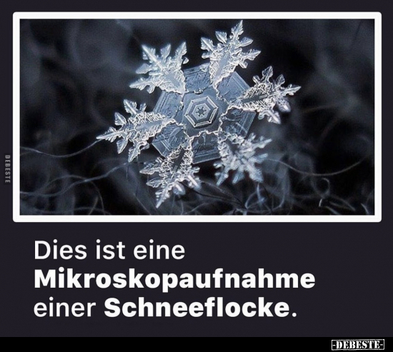 Dies ist eine Mikroskopaufnahme einer Schneeflocke.. - Lustige Bilder | DEBESTE.de