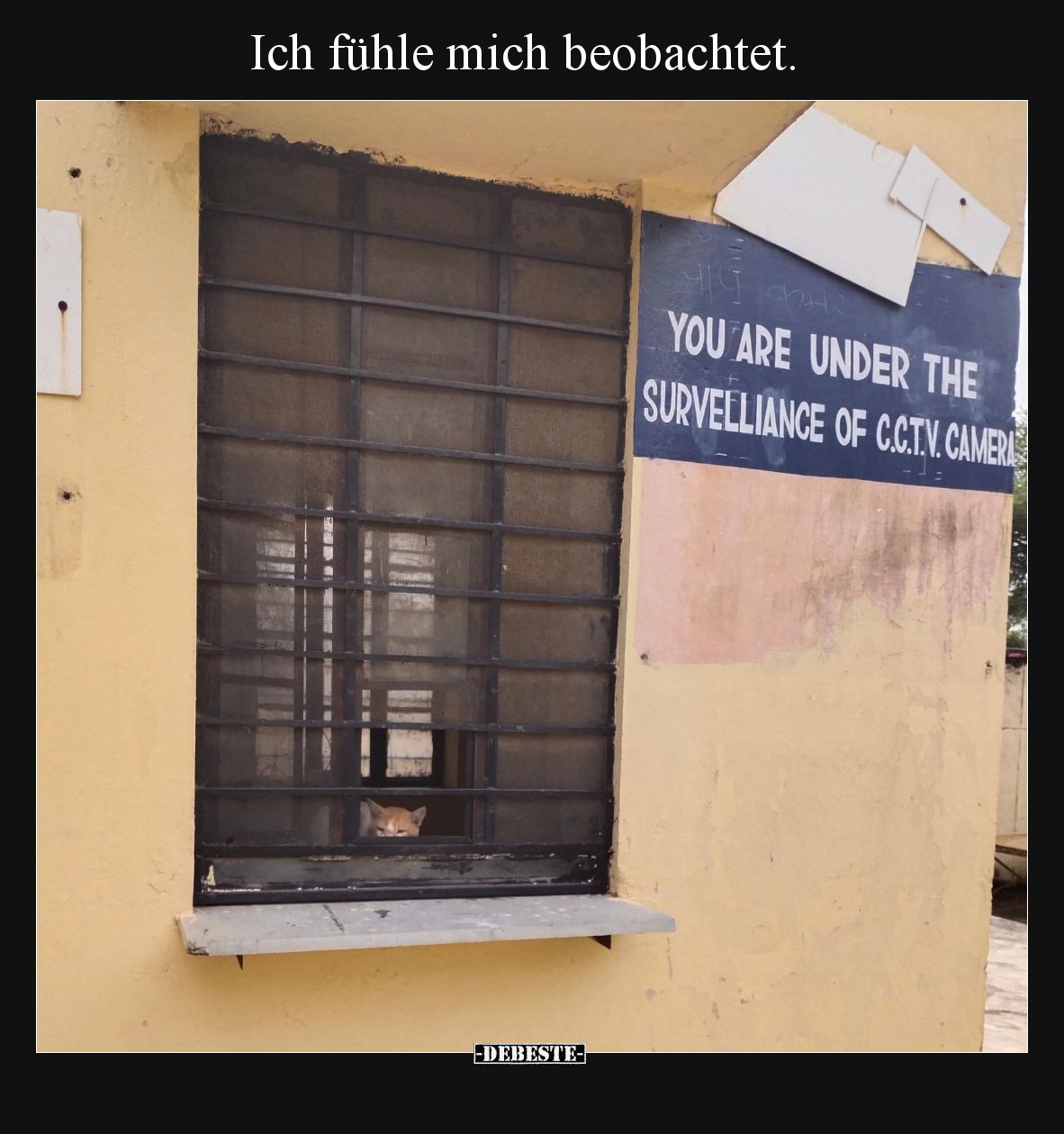 Ich fühle mich beobachtet.