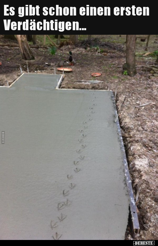 Es gibt schon einen ersten Verdächtigen...
