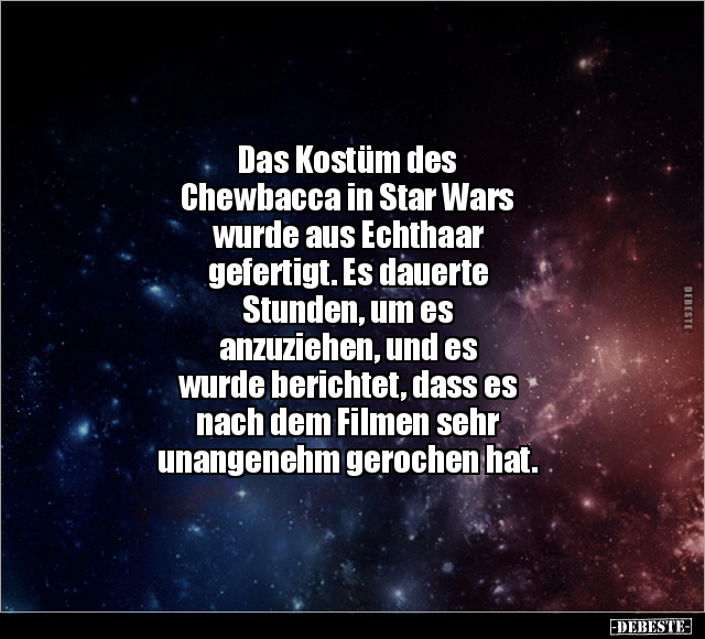 Das Kostüm des Chewbacca in Star Wars wurde aus Echthaar.. - Lustige Bilder | DEBESTE.de