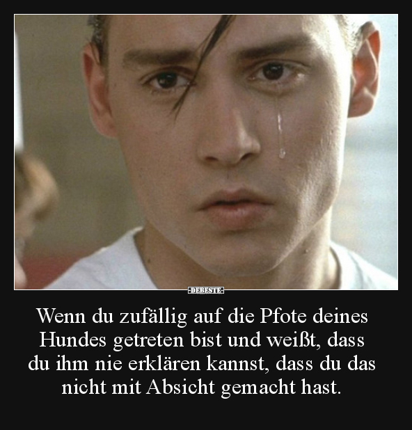Wenn du zufällig auf die Pfote deines Hundes getreten bist..