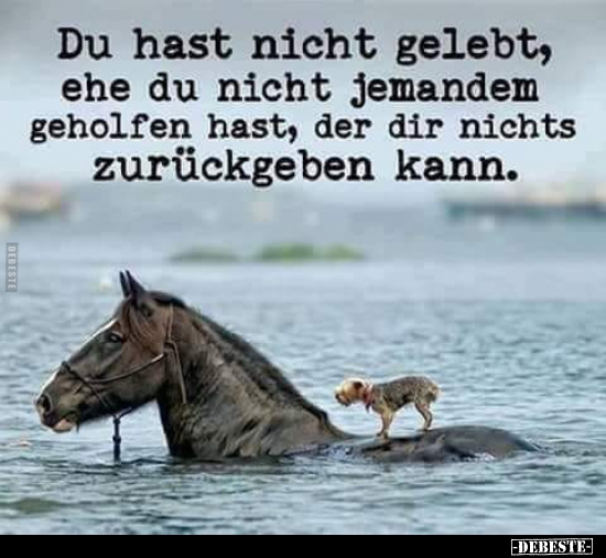 Du hast nicht gelebt, ehe du nicht jemandem geholfen..