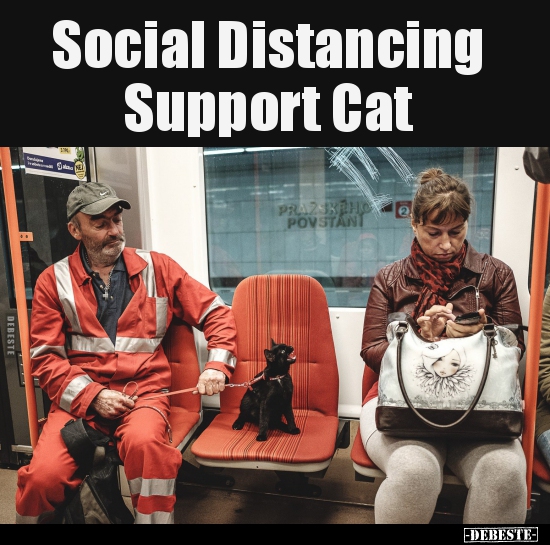 Social Distancing Support Cat.. - Lustige Bilder | DEBESTE.de