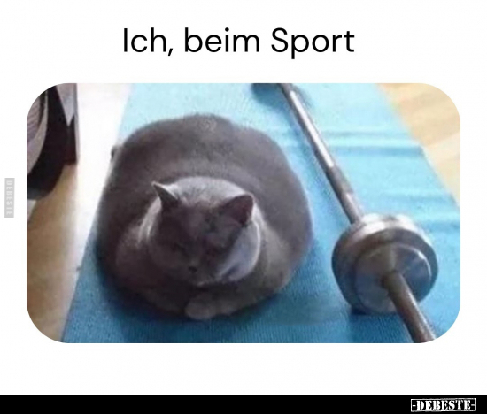 Ich, beim Sport... - Lustige Bilder | DEBESTE.de