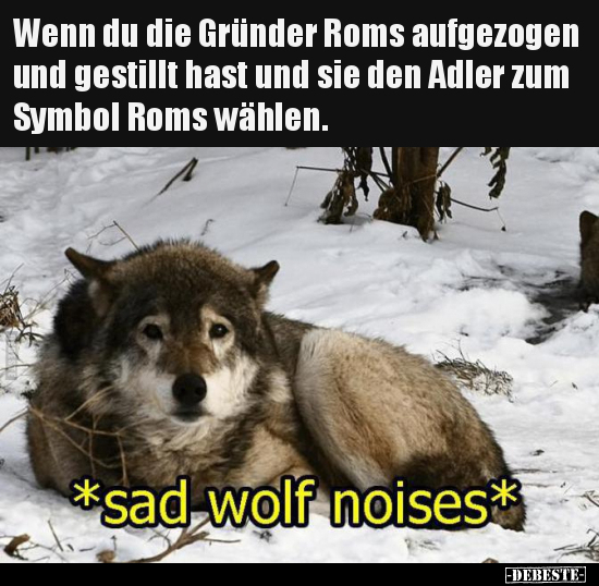 Wenn du die Gründer Roms aufgezogen und gestillt hast und..