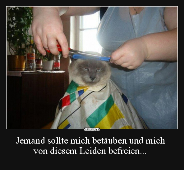 Jemand sollte mich betäuben und mich von diesem Leiden.. - Lustige Bilder | DEBESTE.de