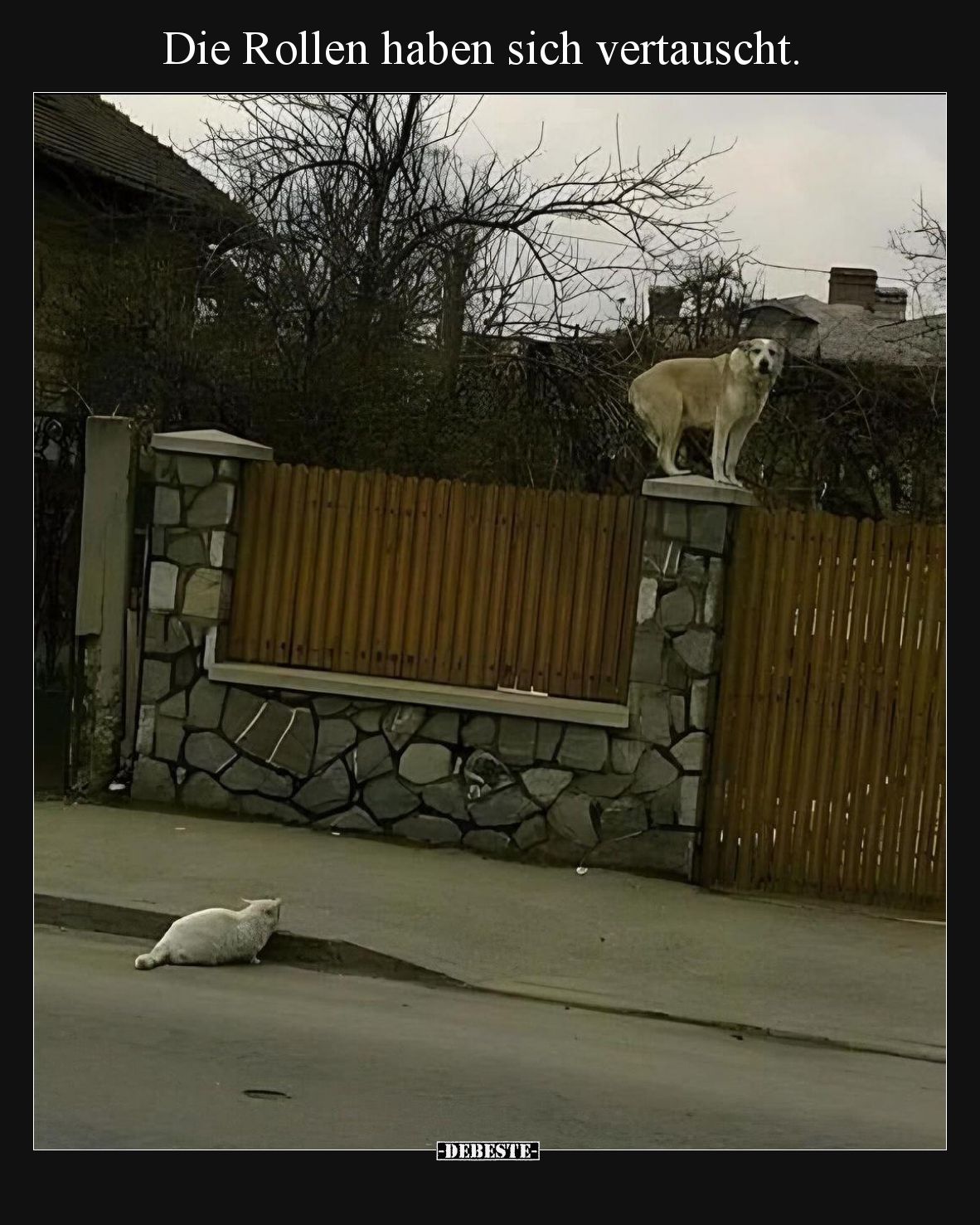 Die Rollen haben sich vertauscht.