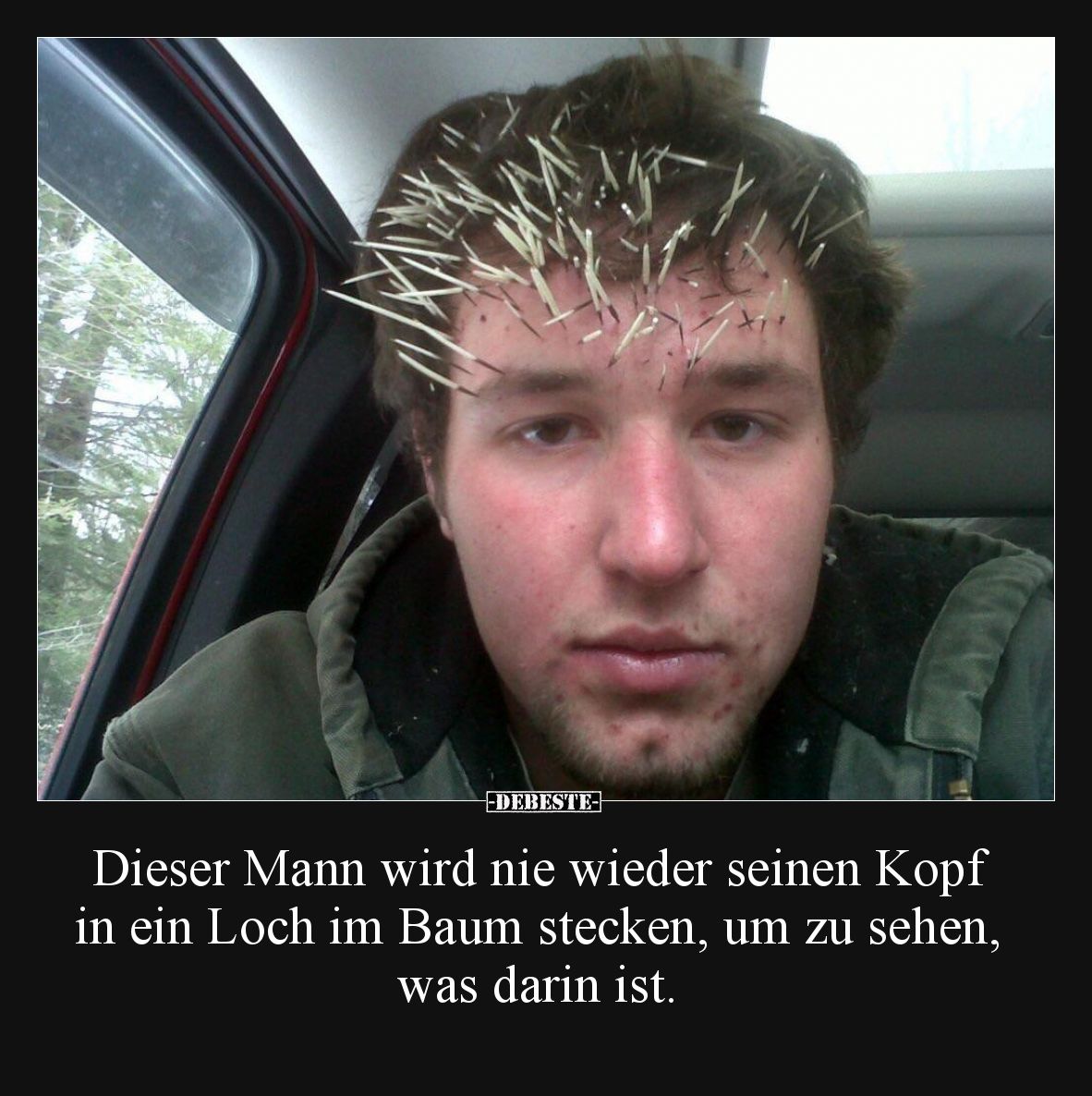 Dieser Mann wird nie wieder seinen Kopf in ein Loch im Baum stecken, um zu sehen, was darin ist.