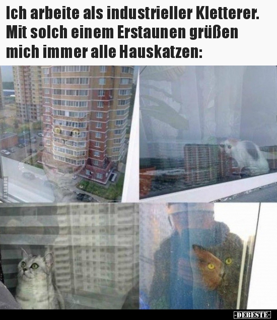 Ich arbeite als industrieller Kletterer. Mit solch einem..