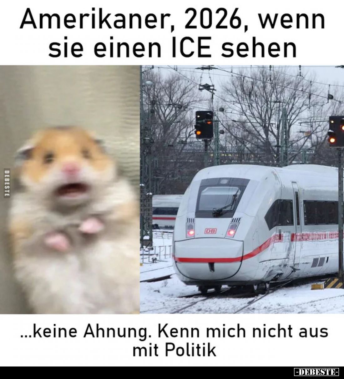 Amerikaner, 2026, wenn sie einen ICE sehen... - Lustige Bilder | DEBESTE.de