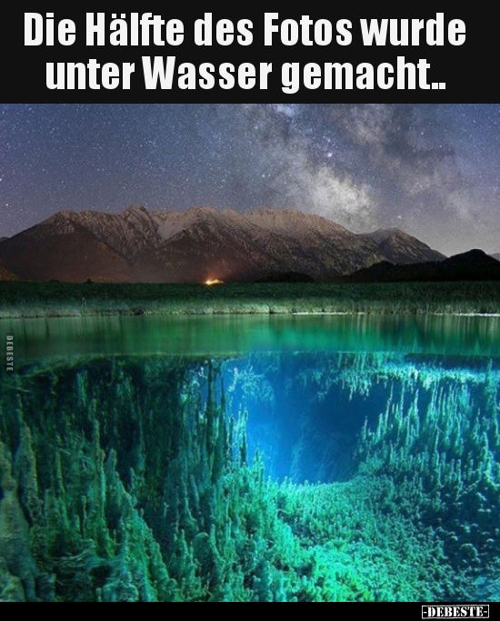 Die Hälfte des Fotos wurde unter Wasser gemacht.. - Lustige Bilder | DEBESTE.de