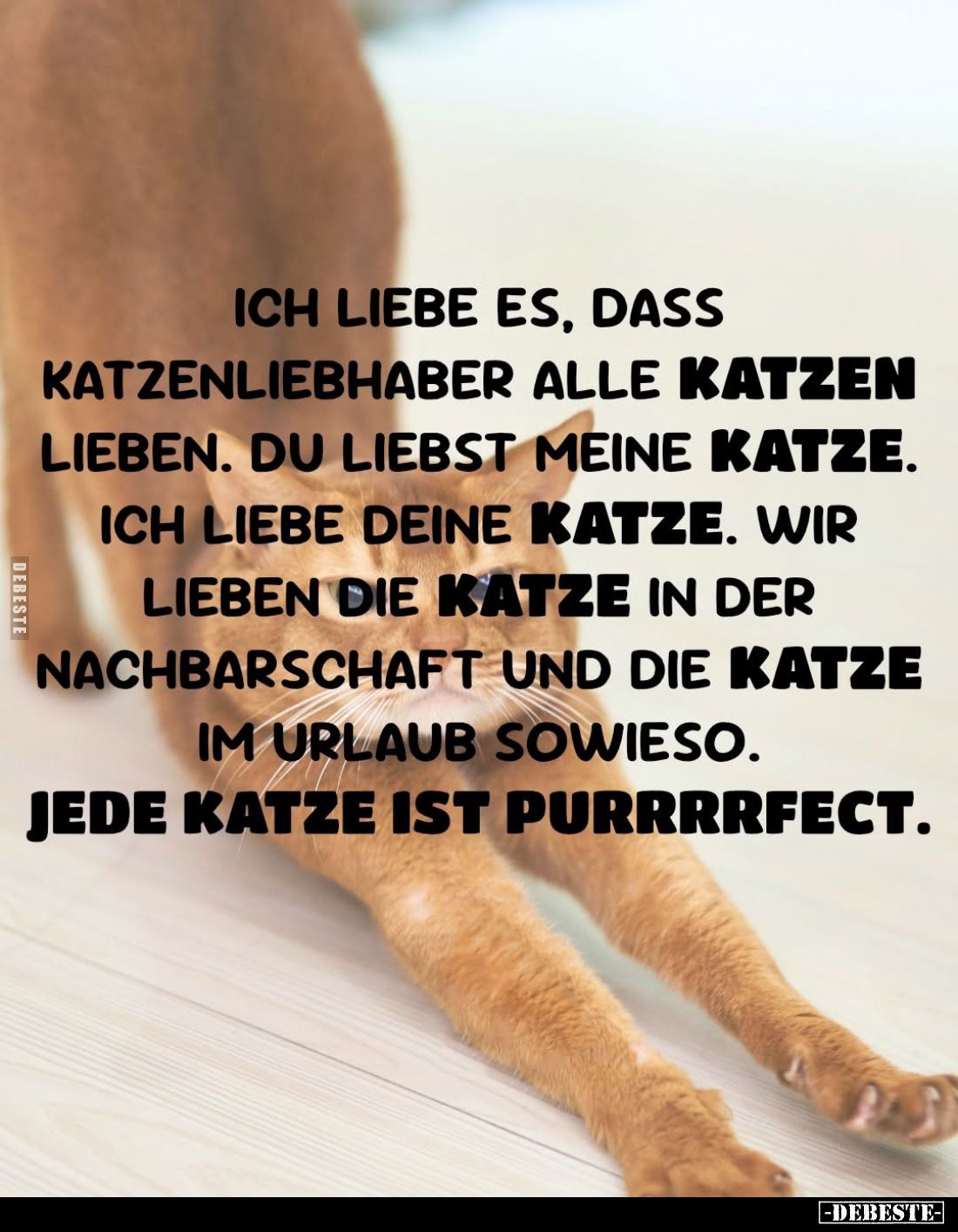 Ich liebe es, dass Katzenliebhaber alle Katzen lieben. Du liebst meine Katze. Ich liebe deine Katze. Wir lieben die Katze in ...