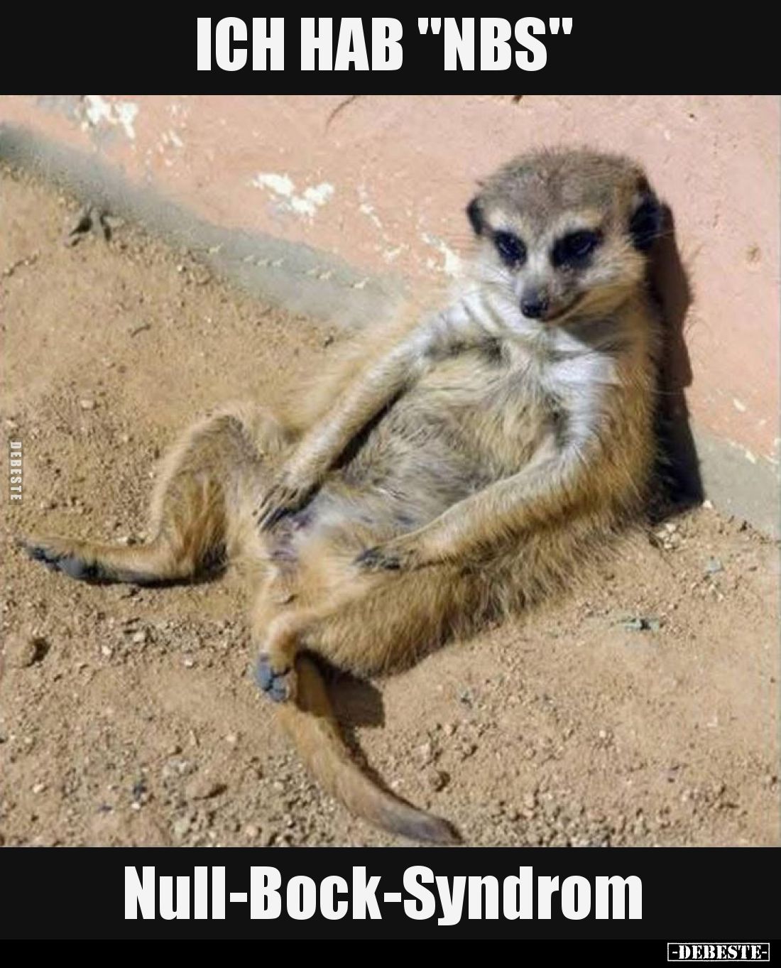 Ich hab "NBS".
Null-Bock-Syndrom.