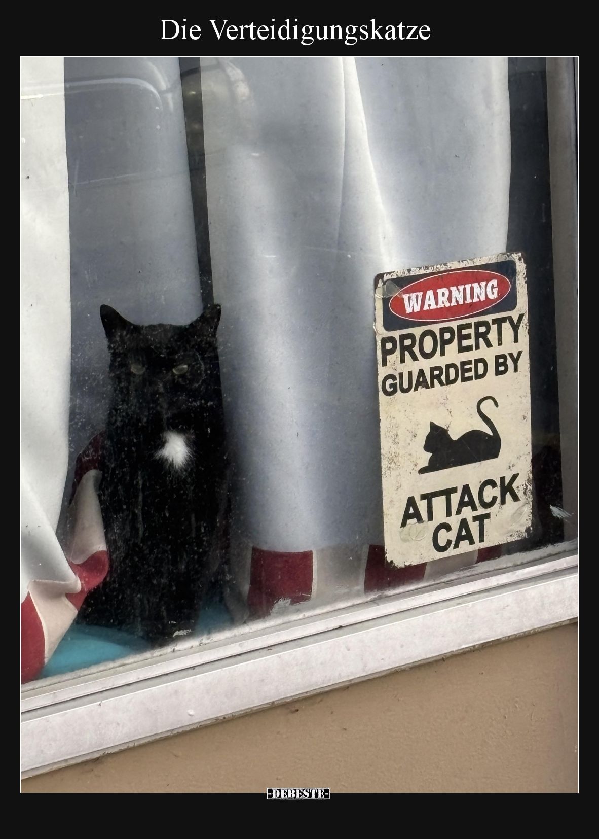 Die Verteidigungskatze
