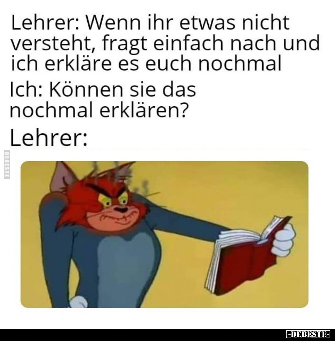 Lehrer: Wenn ihr etwas nicht versteht, fragt einfach nach und ich erkläre es euch nochmal. -
Ich: Können sie das nochmal erk...