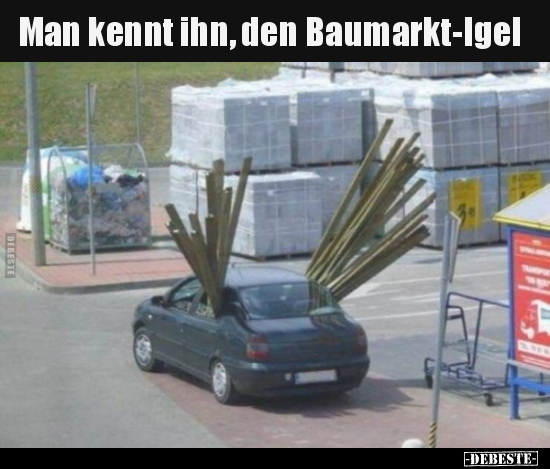 Man kennt ihn, den Baumarkt-Igel.. - Lustige Bilder | DEBESTE.de