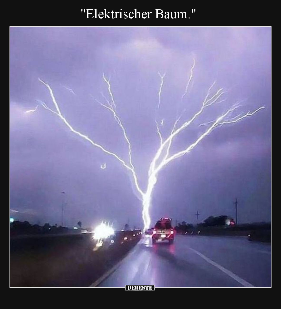 "Elektrischer Baum.".. - Lustige Bilder | DEBESTE.de