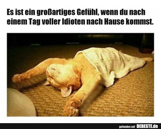 Es ist ein großartiges Gefühl, wenn du nach einem Tag..