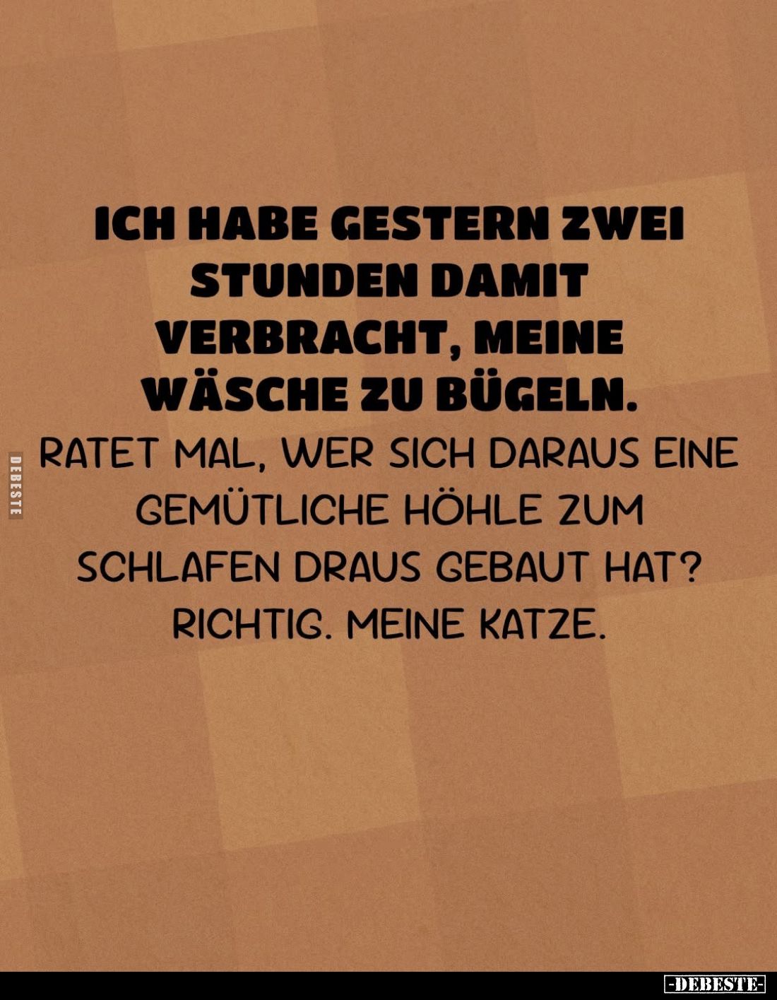Ich habe gestern zwei Stunden damit verbracht, meine Wäsche zu bügeln.
Ratet mal, wer sich daraus eine gemütliche Höhle zum ...