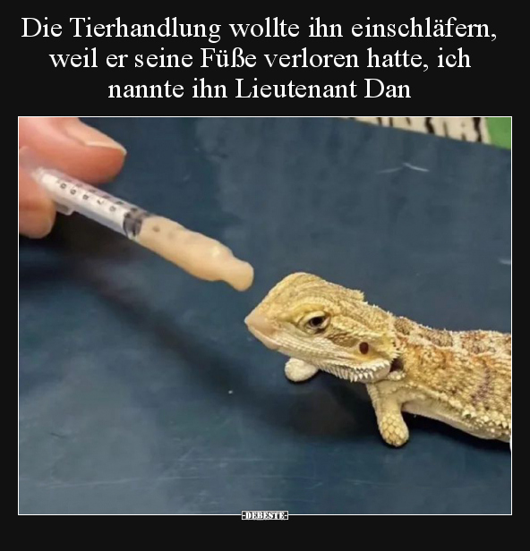 Die Tierhandlung wollte ihn einschläfern, weil er seine.. - Lustige Bilder | DEBESTE.de