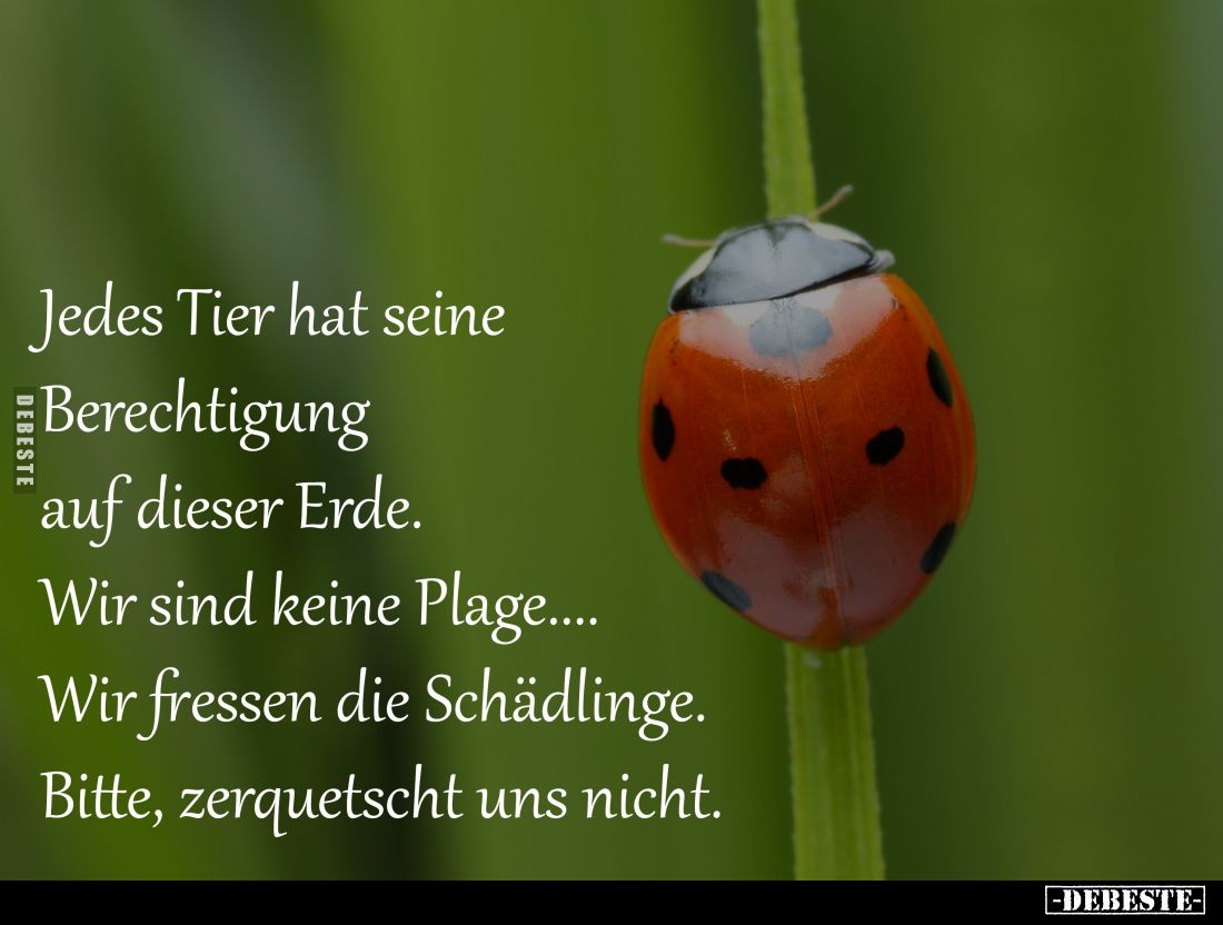 Jedes Tier hat seine Berechtigung 
auf dieser Erde.
Wir sind keine Plage....
Wir fressen die Schädlinge.
Bitte, zerquetsc...