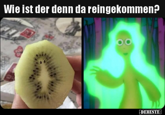 Wie ist der denn da reingekommen?..