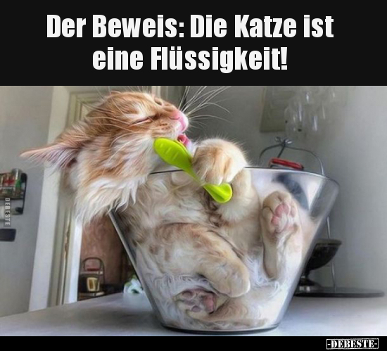 Der Beweis: Die Katze ist eine Flüssigkeit.. - Lustige Bilder | DEBESTE.de