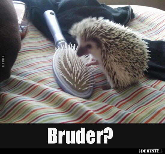 Bruder?..