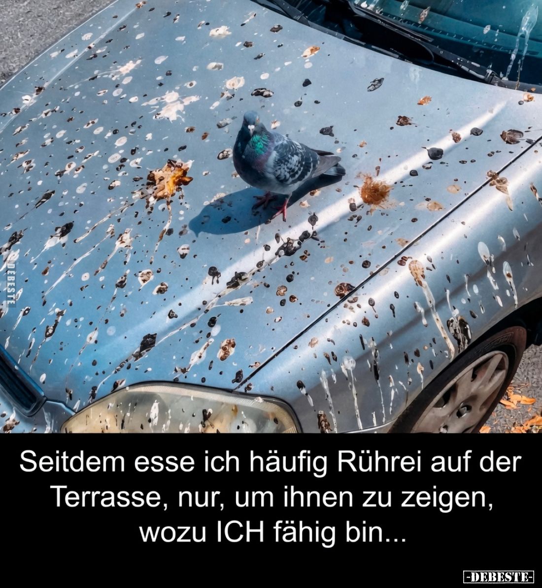 Seitdem esse ich häufig Rührei auf der Terrasse, nur, um ihnen zu zeigen, 
wozu ICH fähig bin...