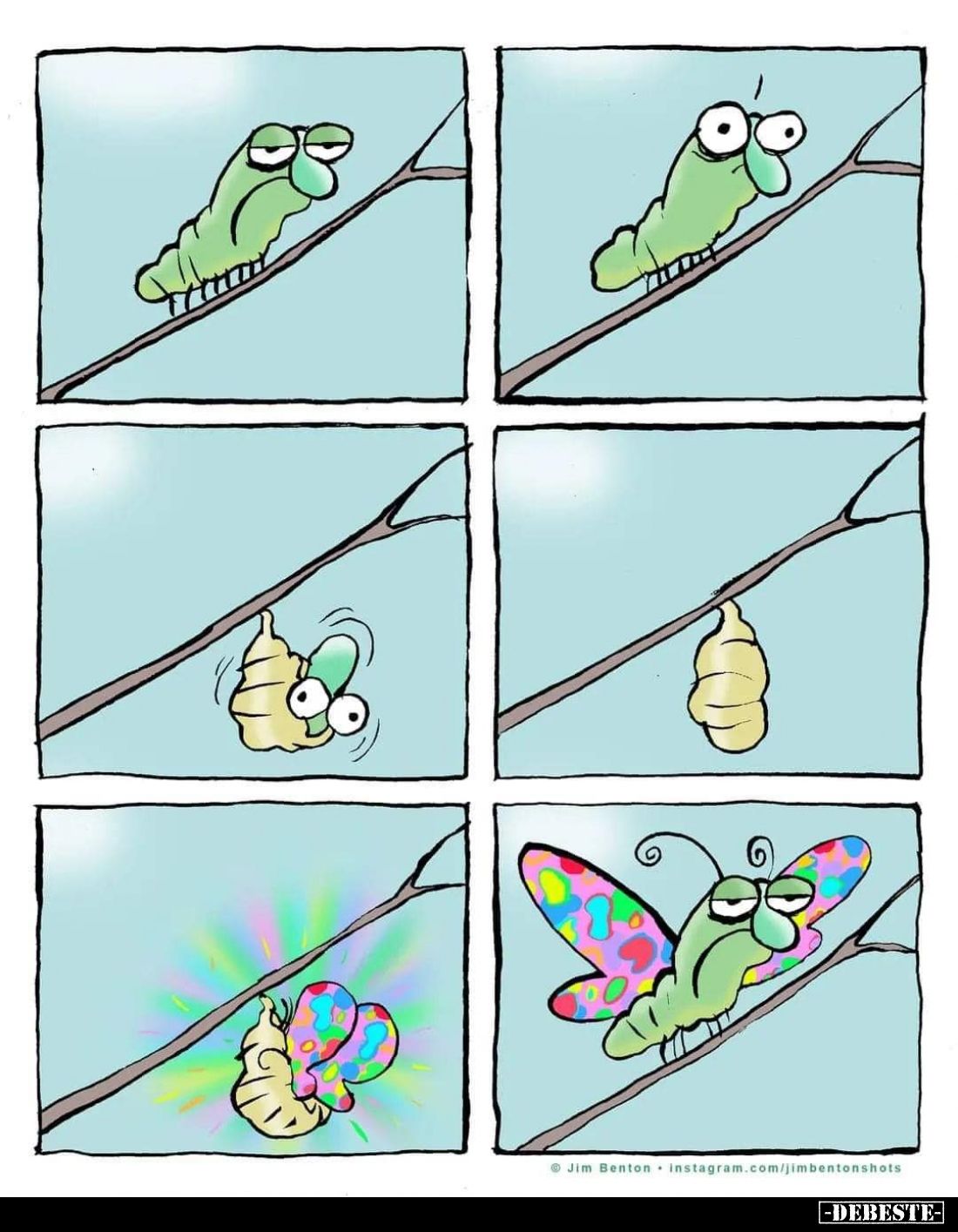  - Lustige Bilder | DEBESTE.de