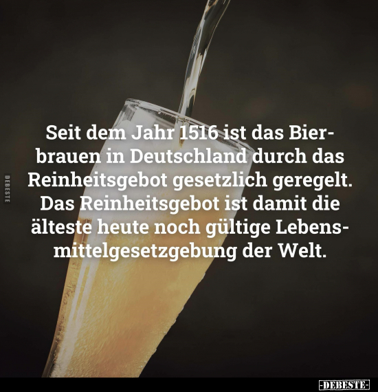 Seit dem Jahr 1516 ist das Bierbrauen in Deutschland.. - Lustige Bilder | DEBESTE.de