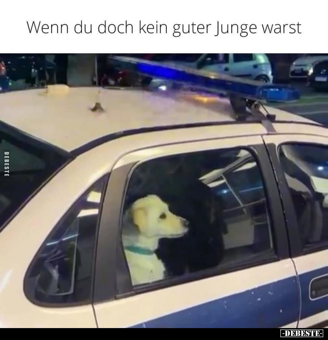 Wenn du doch kein guter Junge warst.