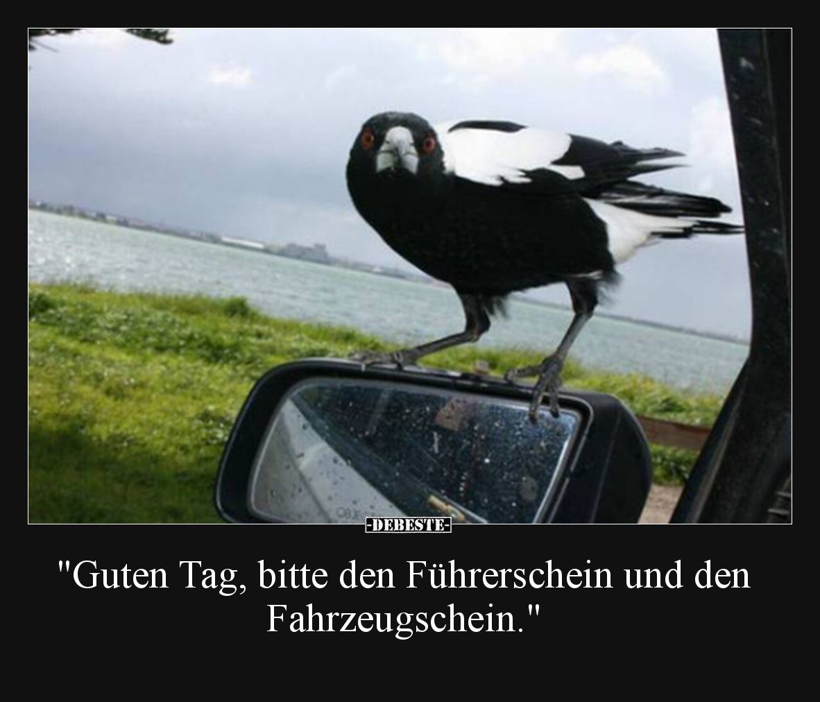 "Guten Tag, bitte den Führerschein und den.." - Lustige Bilder | DEBESTE.de