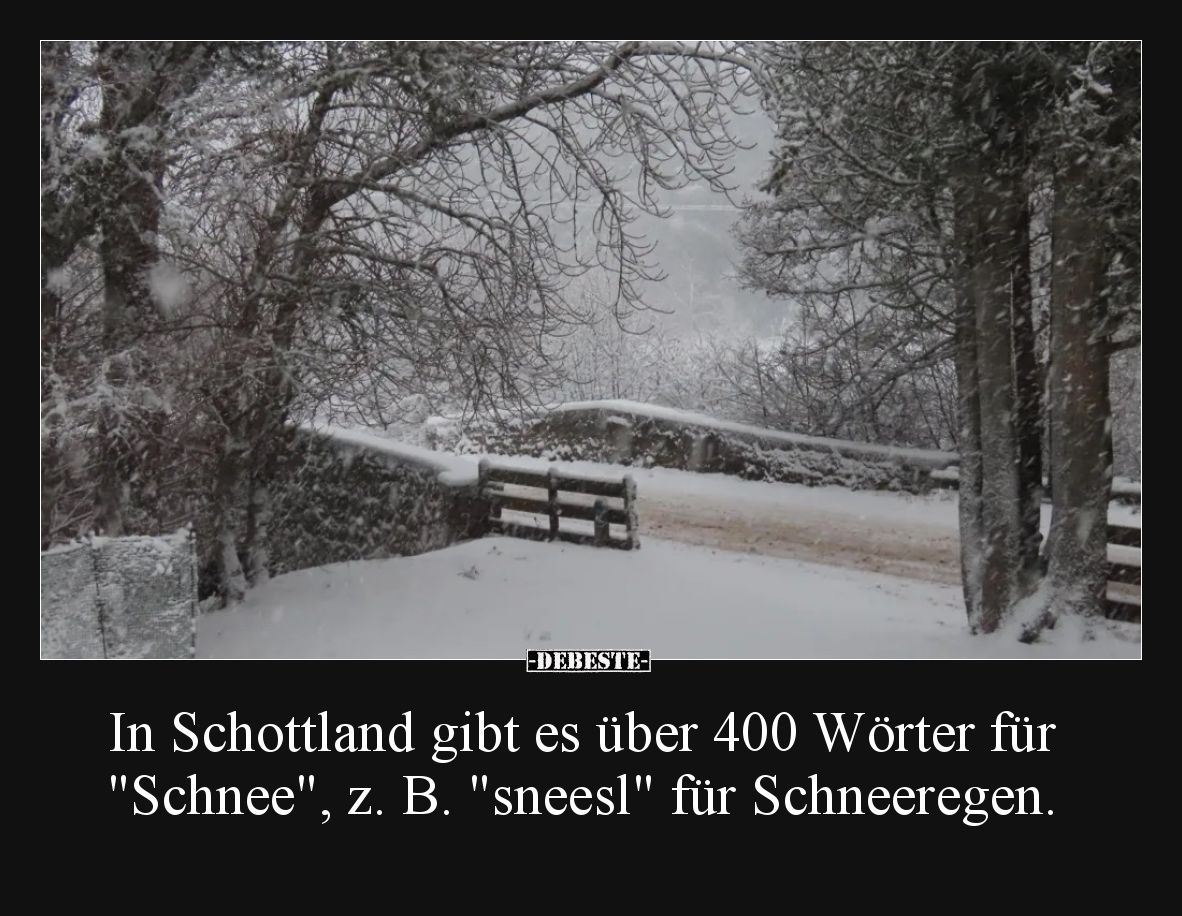 In Schottland gibt es über 400 Wörter für "Schnee", z. B. "sneesl" für Schneeregen.