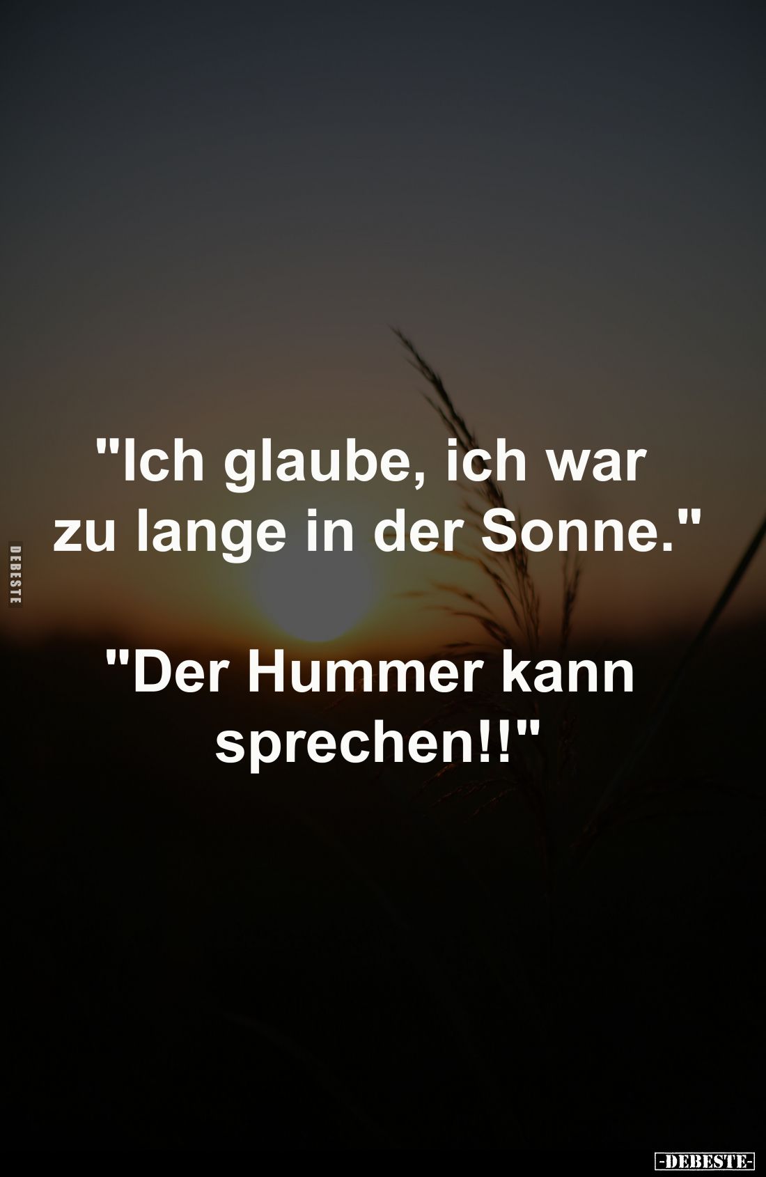 "Ich glaube, ich war 
zu lange in der Sonne."
-
"Der Hummer kann 
sprechen!!"