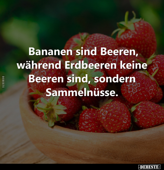 Bananen sind Beeren, während Erdbeeren keine Beeren Sind.. - Lustige Bilder | DEBESTE.de