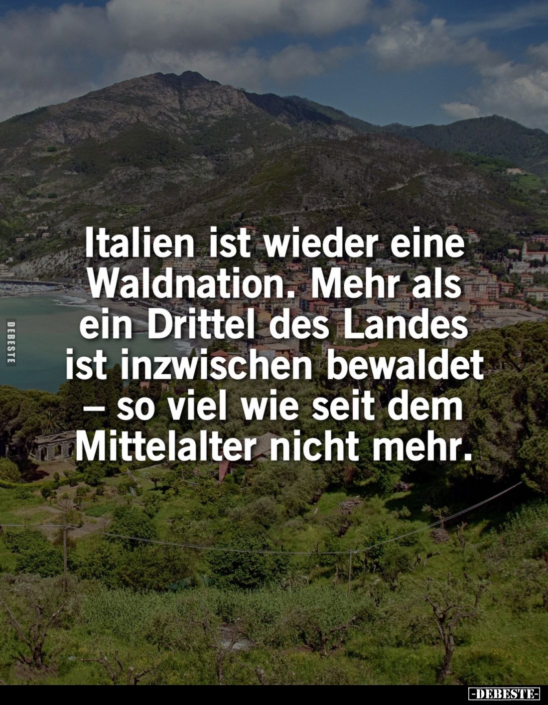 Italien ist wieder eine Waldnation. Mehr als ein Drittel des Landes ist inzwischen bewaldet - so viel wie seit dem Mittelalte...