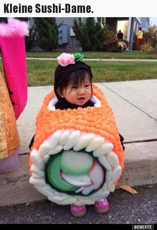 Kleine Sushi Dame Lustige Bilder Spruche Witze Echt Lustig