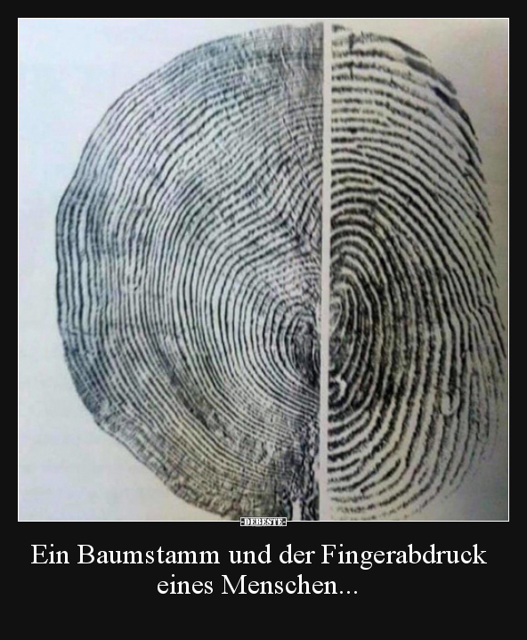 Ein Baumstamm und der Fingerabdruck eines Menschen... - Lustige Bilder | DEBESTE.de