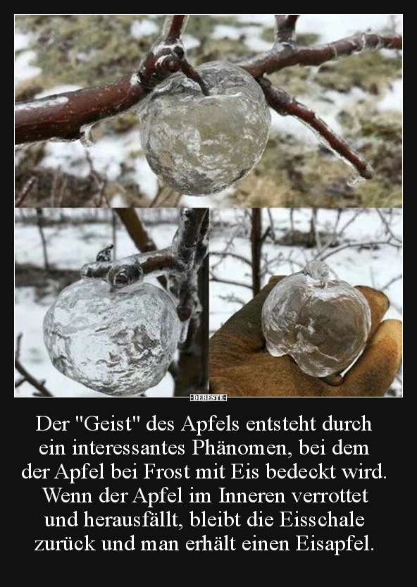 Der "Geist" des Apfels entsteht durch ein interessantes.. - Lustige Bilder | DEBESTE.de